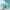 Trio Ricin IMPHAIR - visuel premium